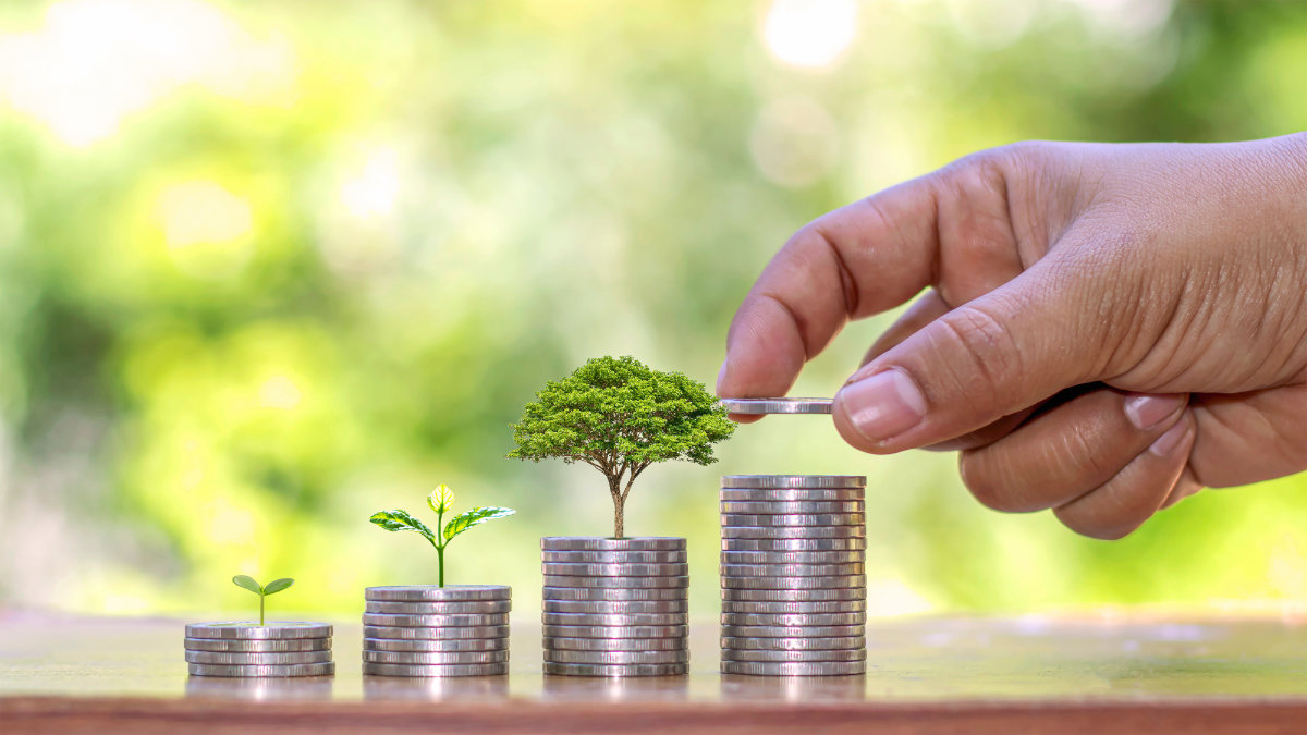 planting a tree on a pile of money, including the hand of a woma